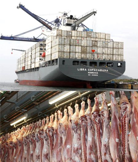 Exportação - Divinews